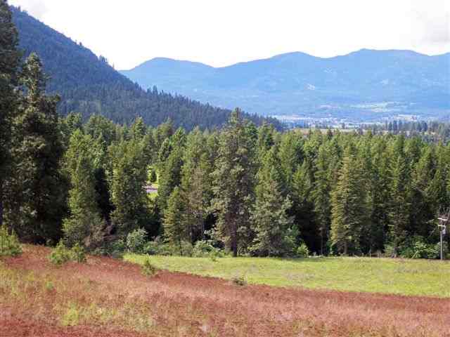 Lot A Gillette Road Colville, WA 99114 - Photo 8 of 9