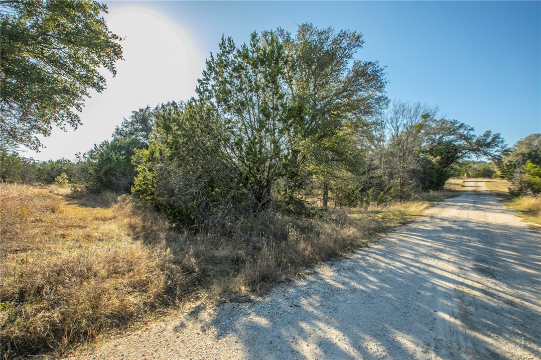 Tbd Tbd Cedar Flats Road Morgan, TX 76671 - Photo 6 of 7