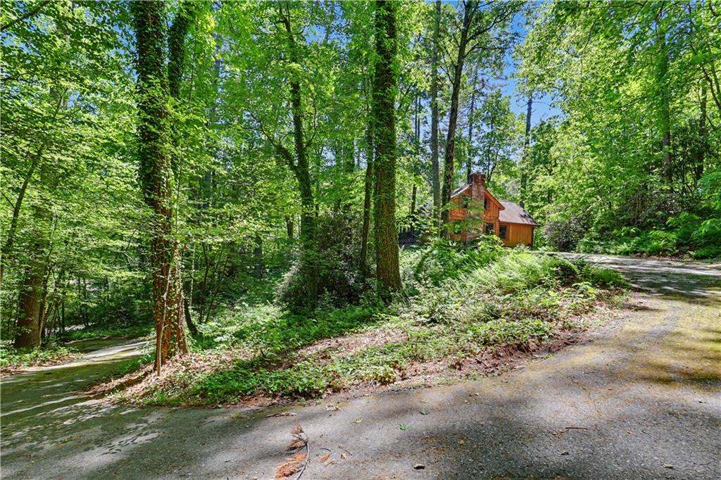 102 Moses Road Rabun Gap, GA 30568 - Photo 39 of 40 a view of outdoor space and trees all around