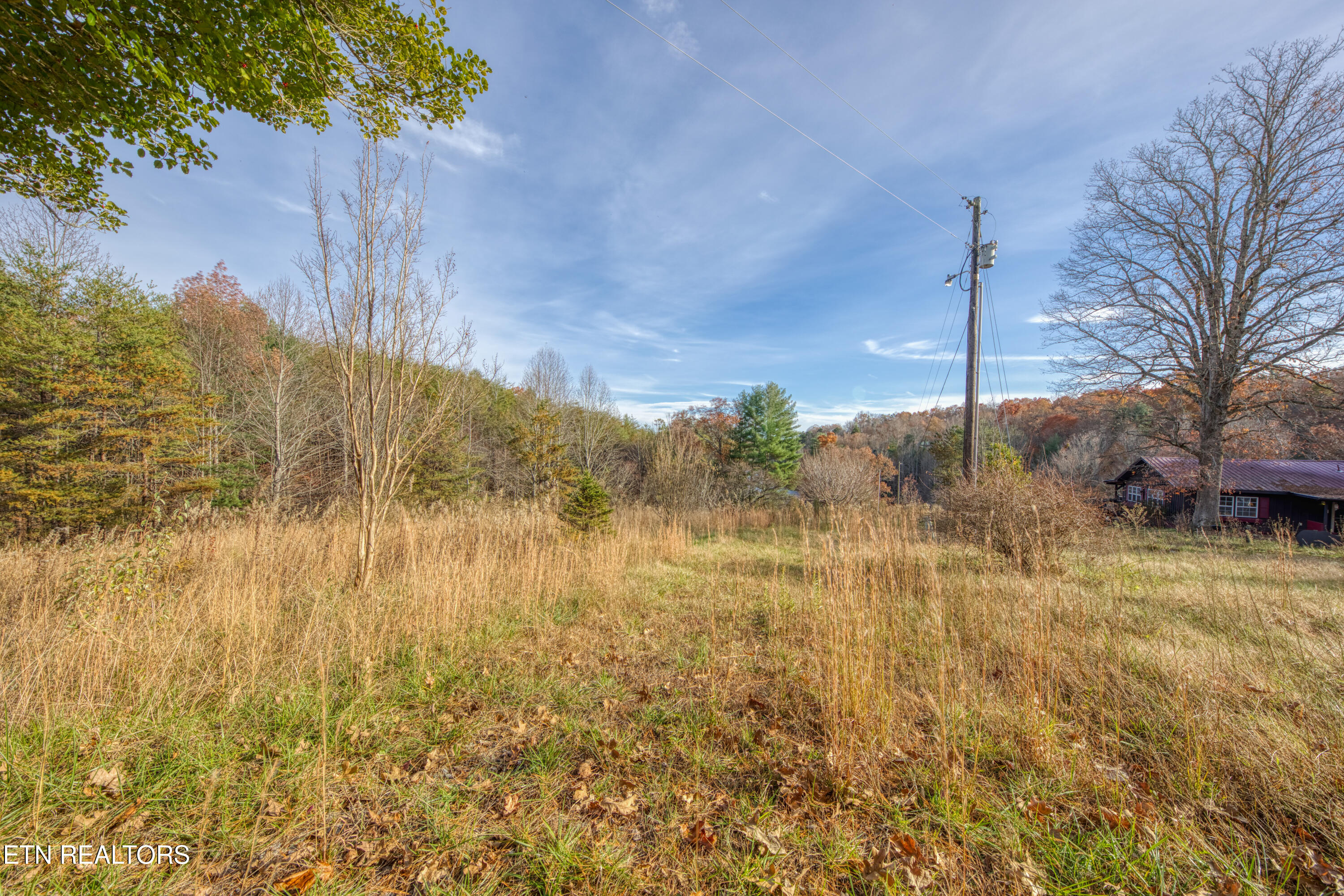 533 Epperson Road Tellico Plains, TN 37385 - Photo 26 of 54 0H3A9277_51