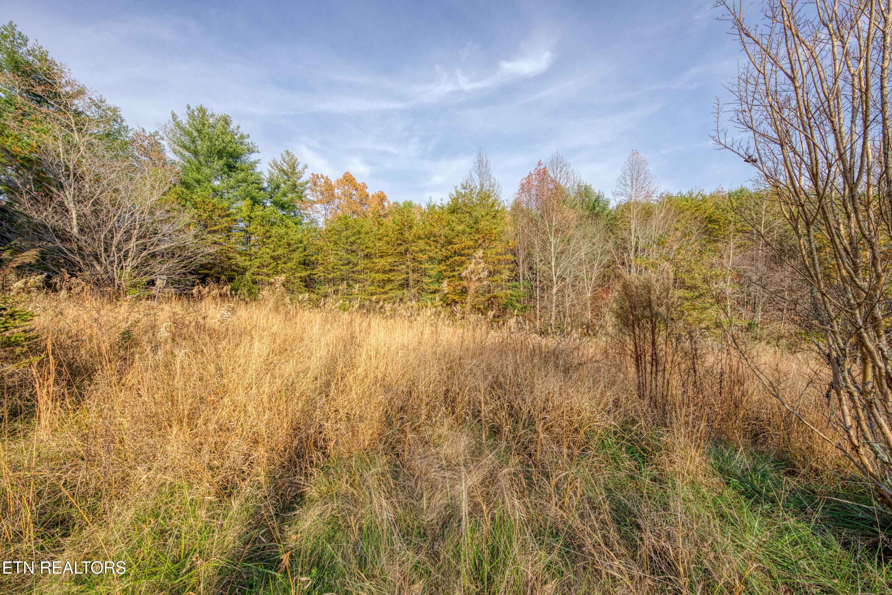 533 Epperson Road Tellico Plains, TN 37385 - Photo 27 of 54 0H3A9284_52