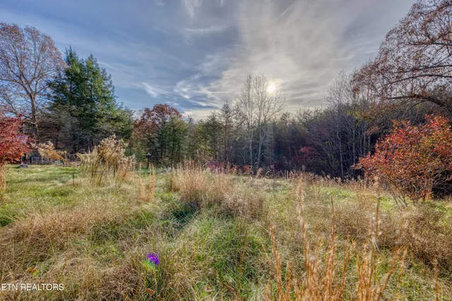 $359,000 | 533 Epperson Road, Tellico Plains, TN 37385