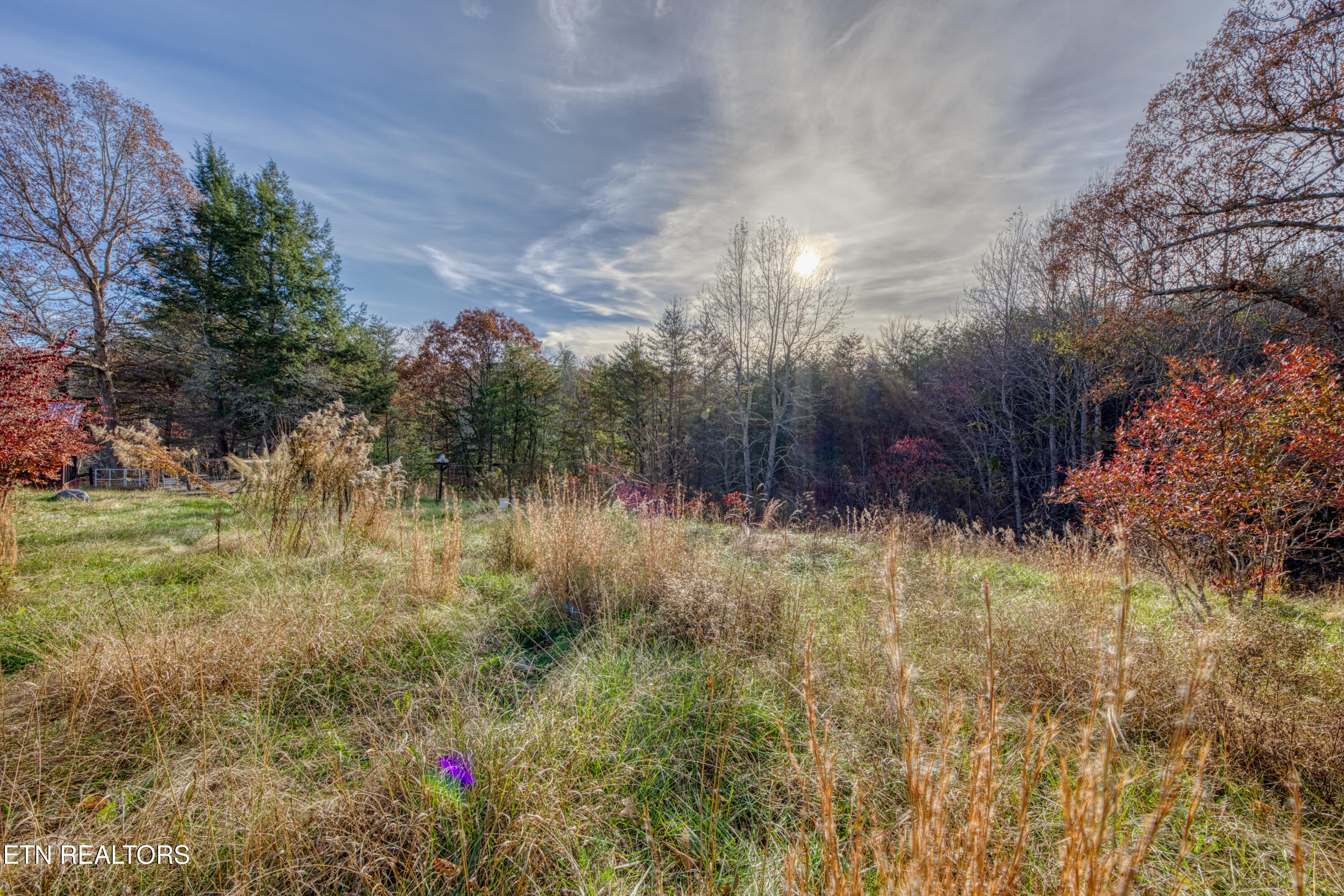 533 Epperson Road Tellico Plains, TN 37385 - Photo 30 of 54 0H3A9305_59