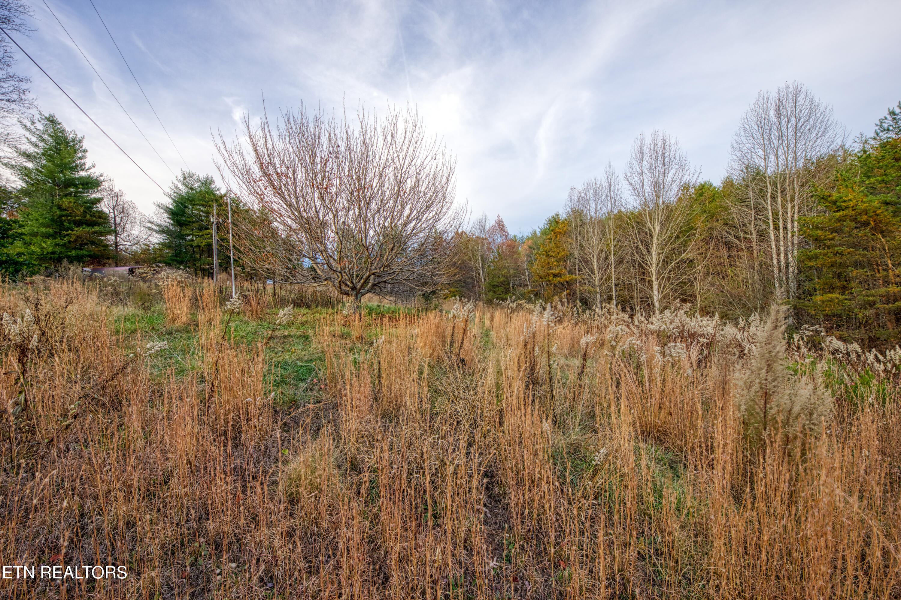 533 Epperson Road Tellico Plains, TN 37385 - Photo 33 of 54 0H3A9447_98