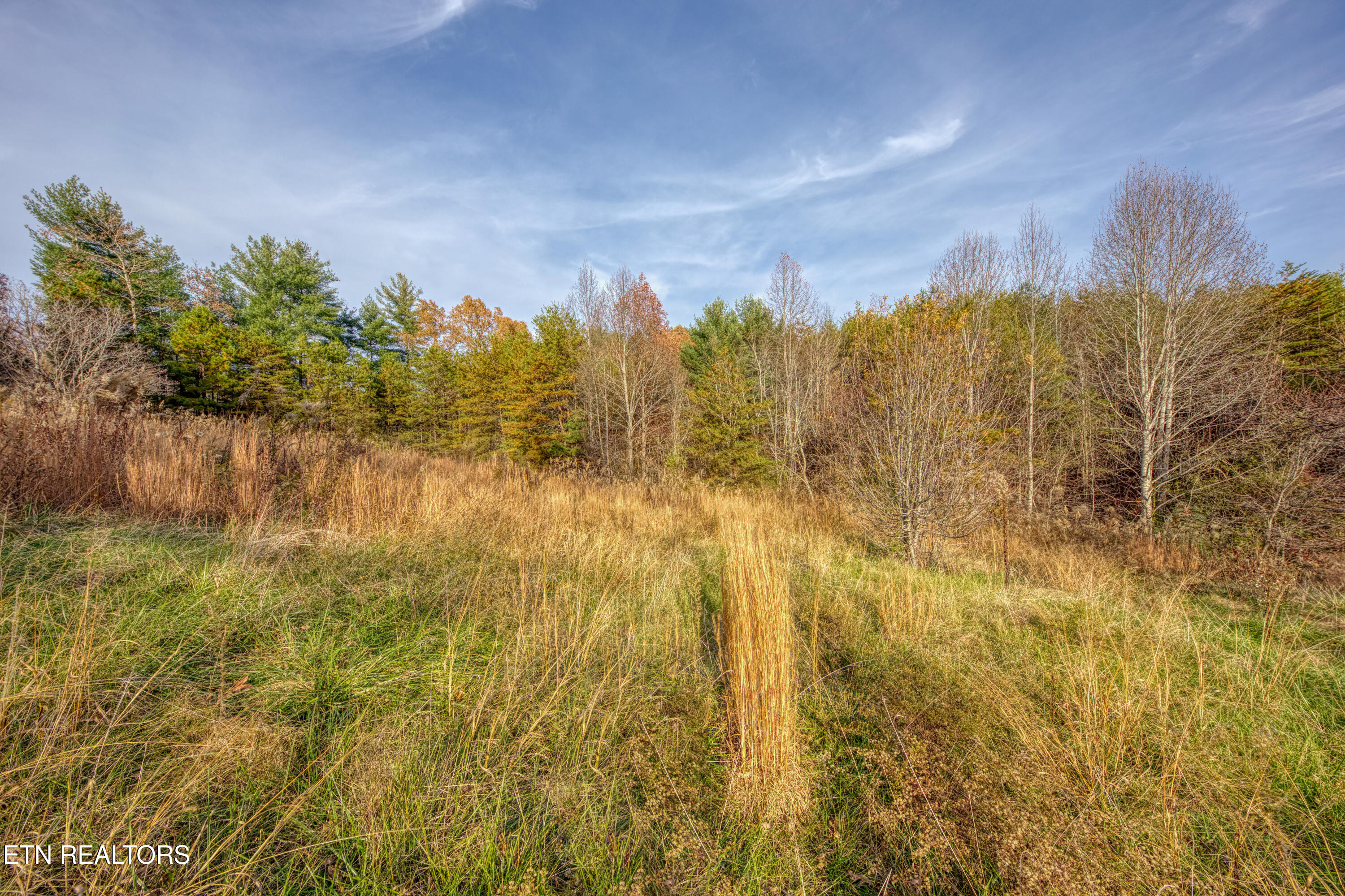 533 Epperson Road Tellico Plains, TN 37385 - Photo 36 of 54 0H3A9286_53