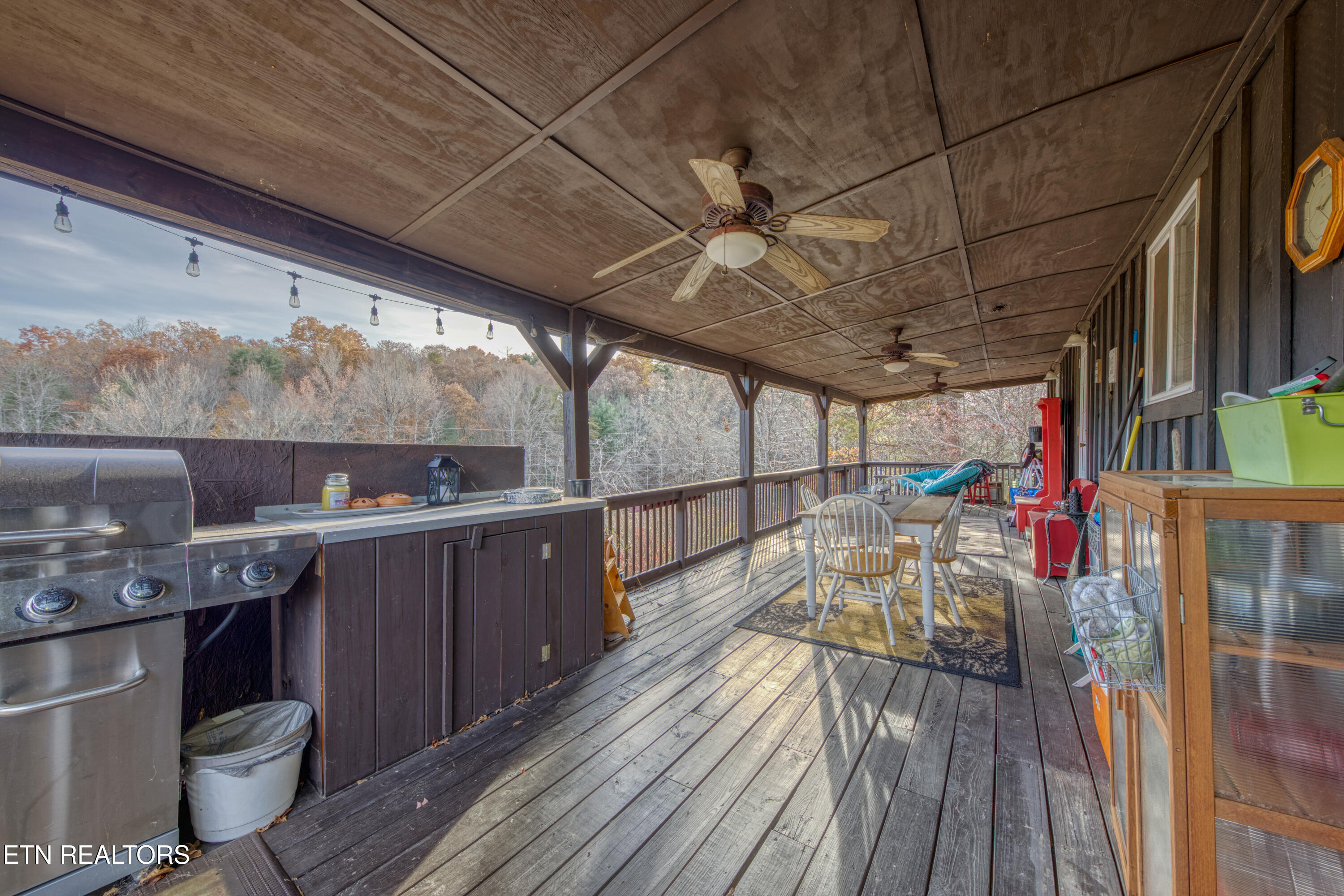 533 Epperson Road Tellico Plains, TN 37385 - Photo 41 of 54 0H3A9369_77