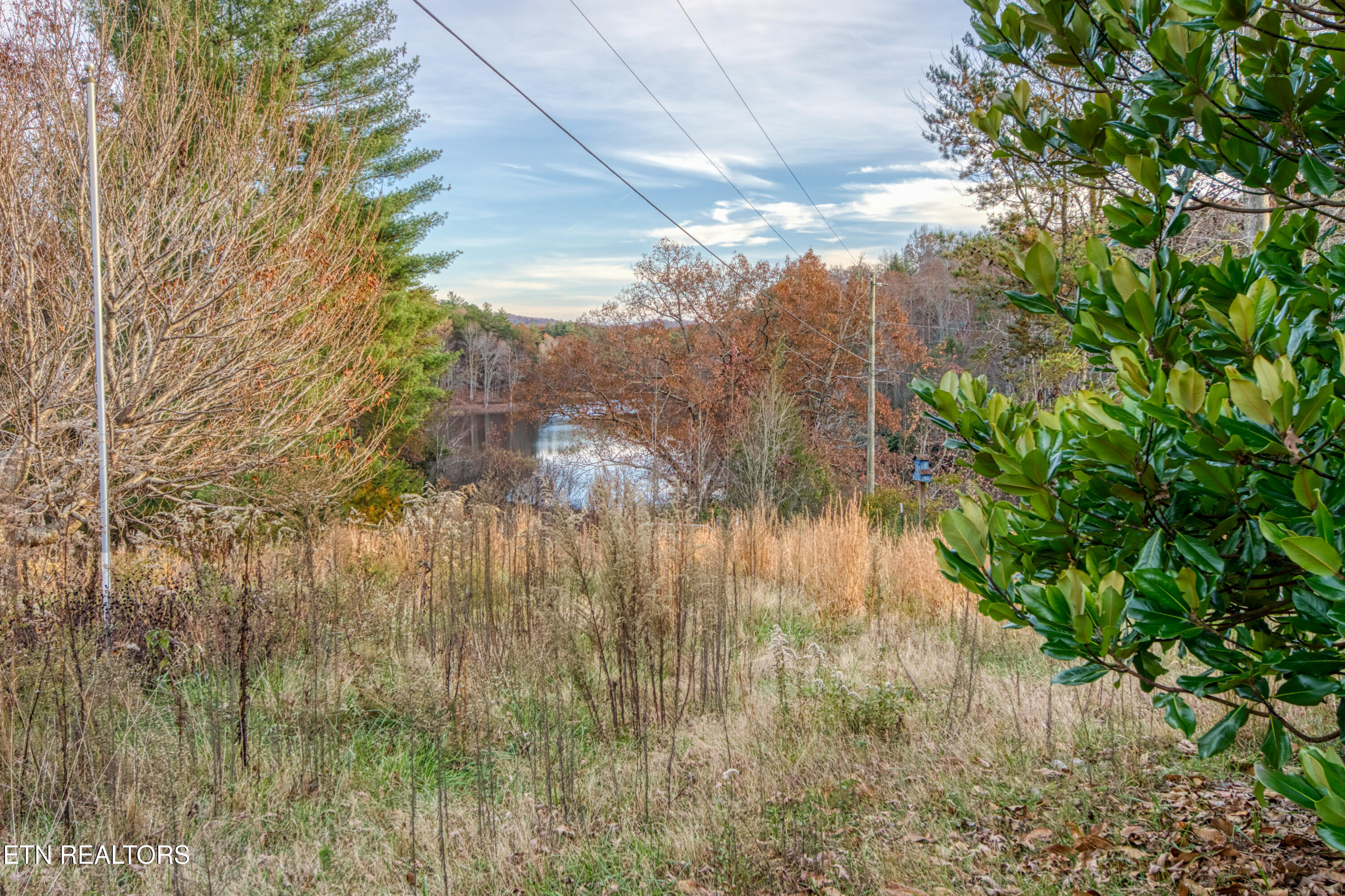 533 Epperson Road Tellico Plains, TN 37385 - Photo 45 of 54 0H3A9437_95
