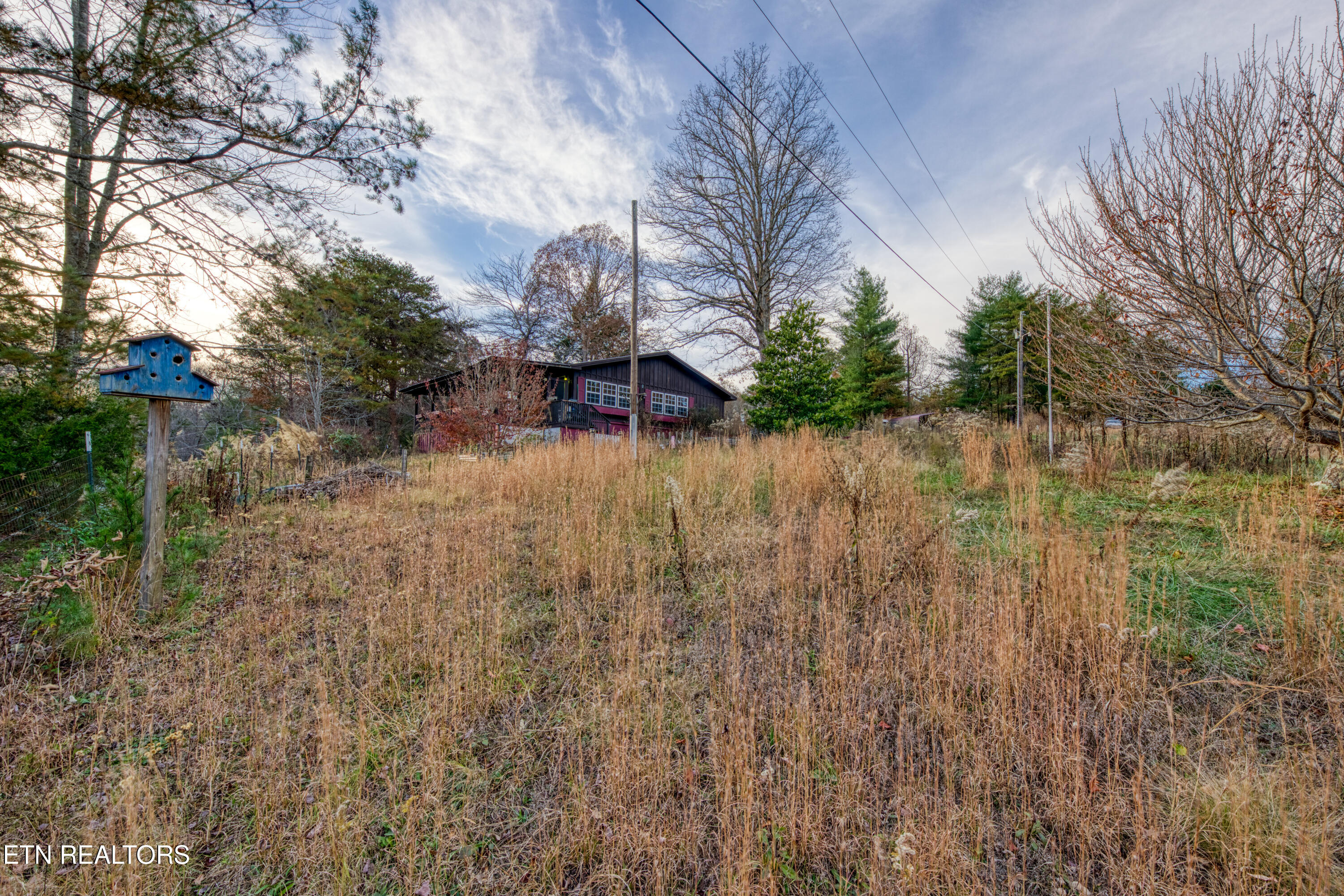 533 Epperson Road Tellico Plains, TN 37385 - Photo 46 of 54 0H3A9444_97