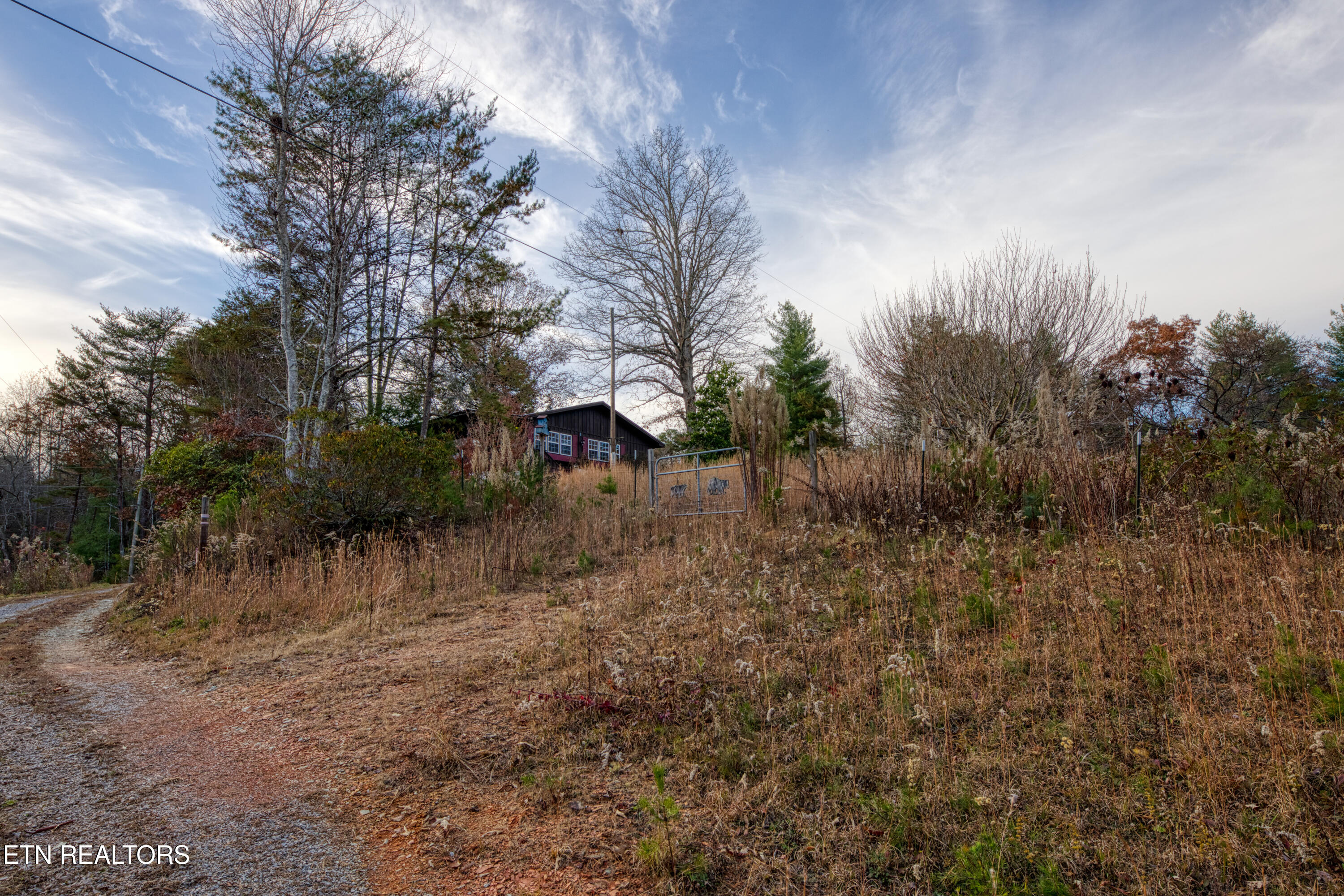 533 Epperson Road Tellico Plains, TN 37385 - Photo 48 of 54 0H3A9450_99