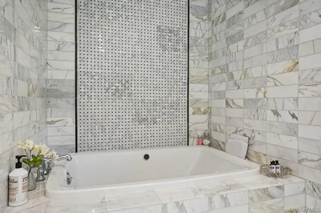 a bathroom with a bathtub and a shower