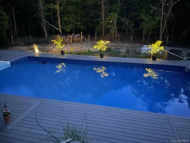 a view of swimming pool with a yard