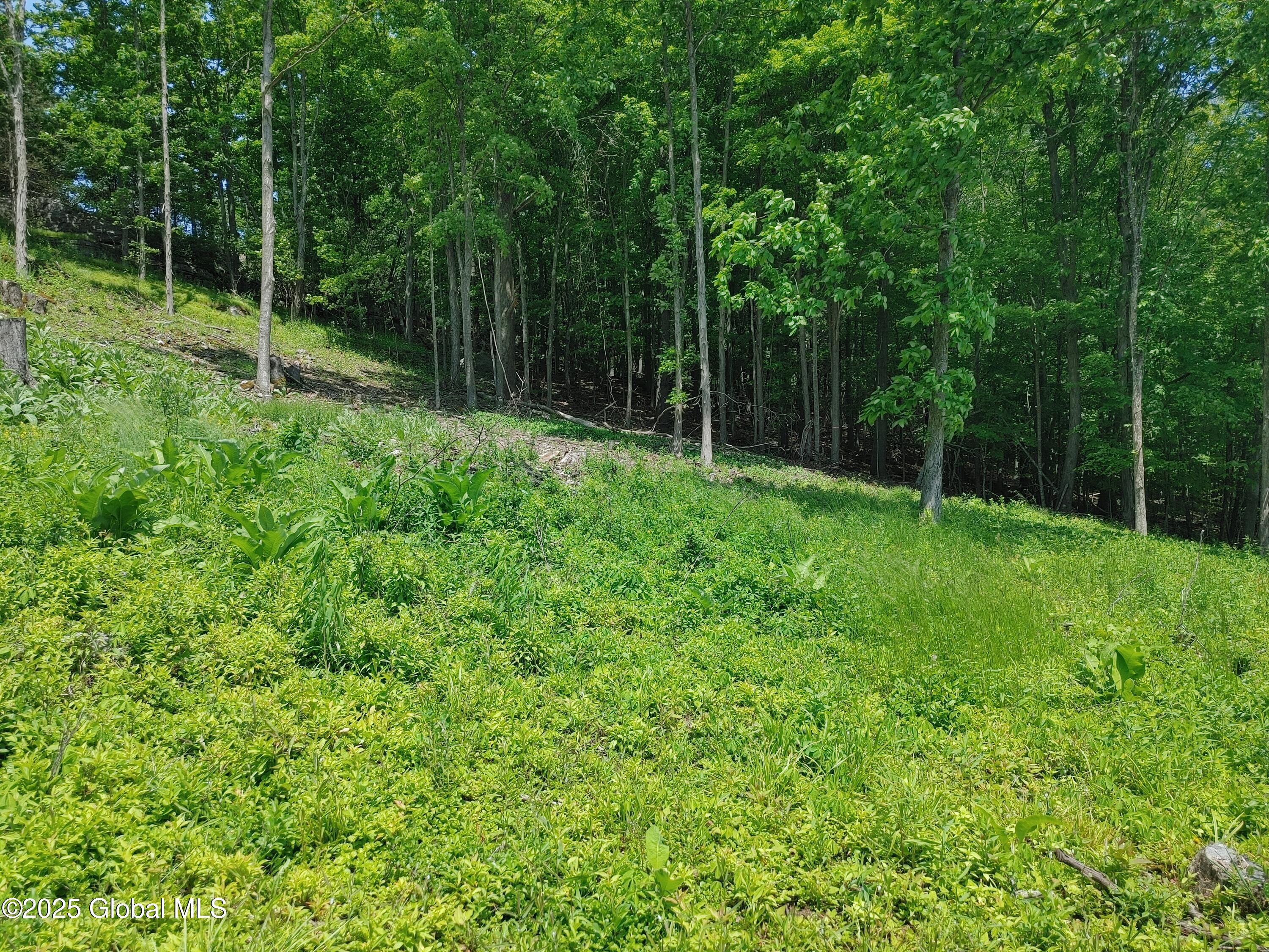 67 Hutton Square Road Putnam, NY 12861 - Photo 4 of 11 0603251338c