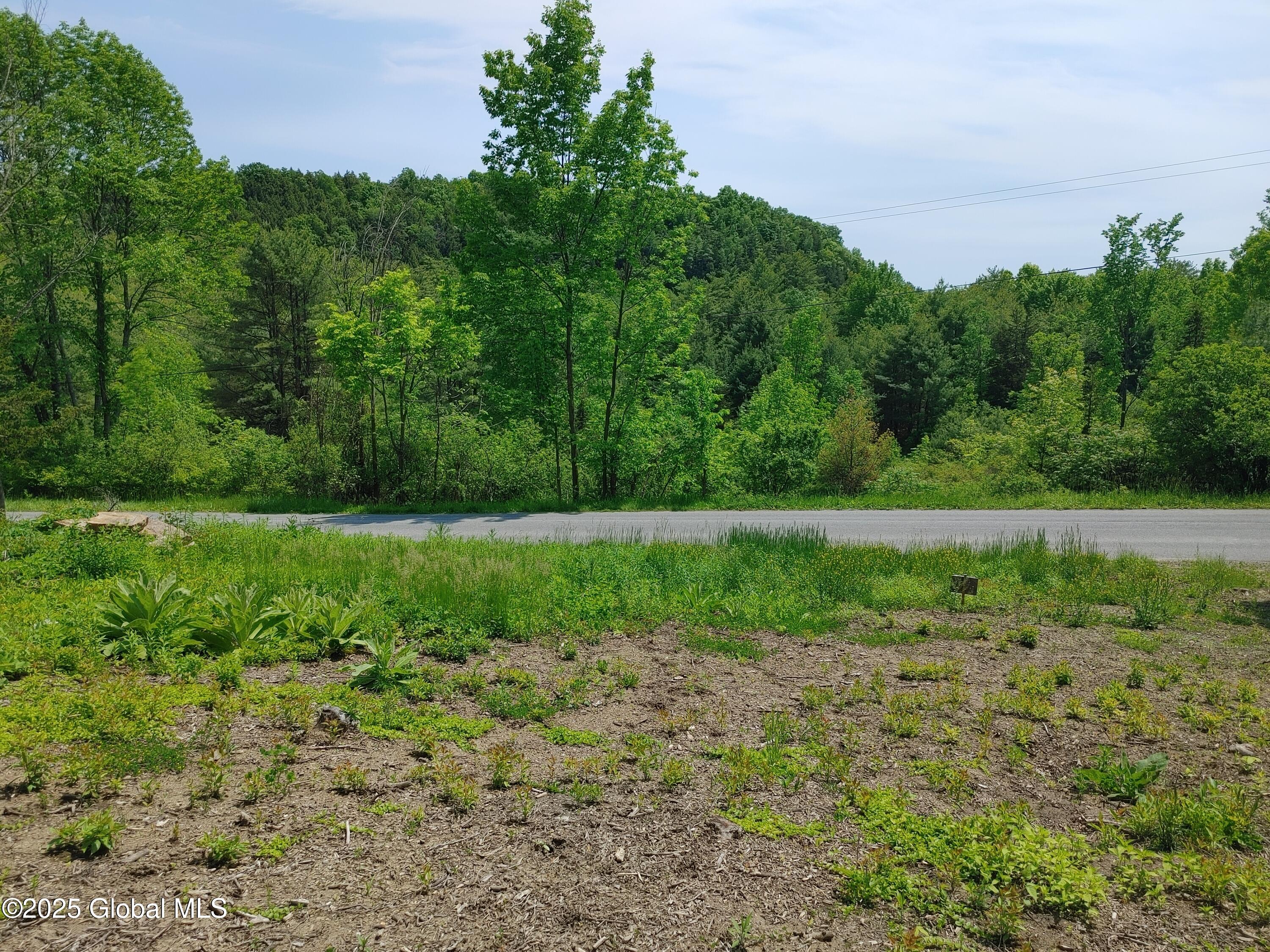 67 Hutton Square Road Putnam, NY 12861 - Photo 5 of 11 0603251338a