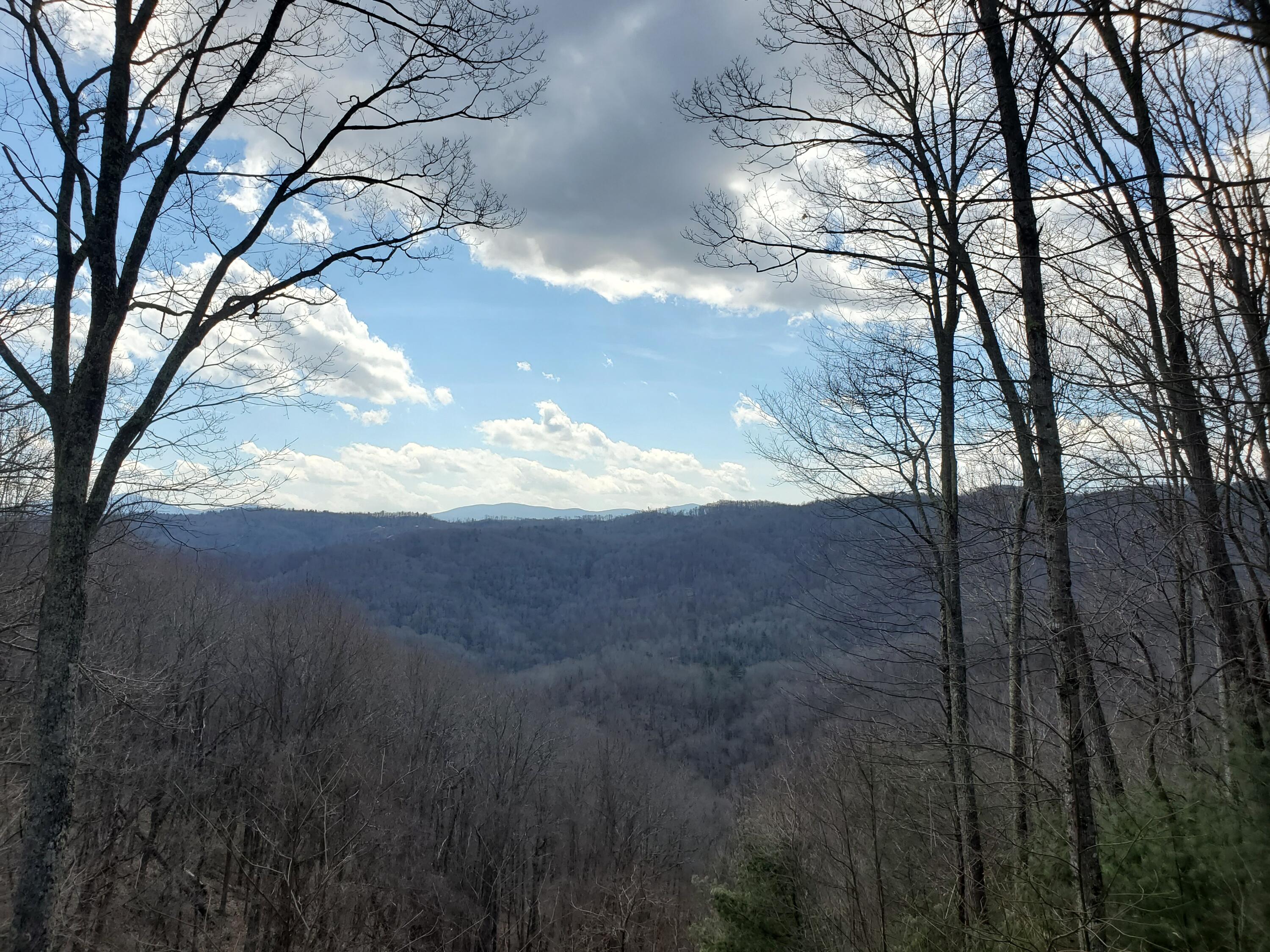 Tbd Heaton Branch Road, Unit 11A Butler, TN 37640 - Photo 1 of 28 View to the West