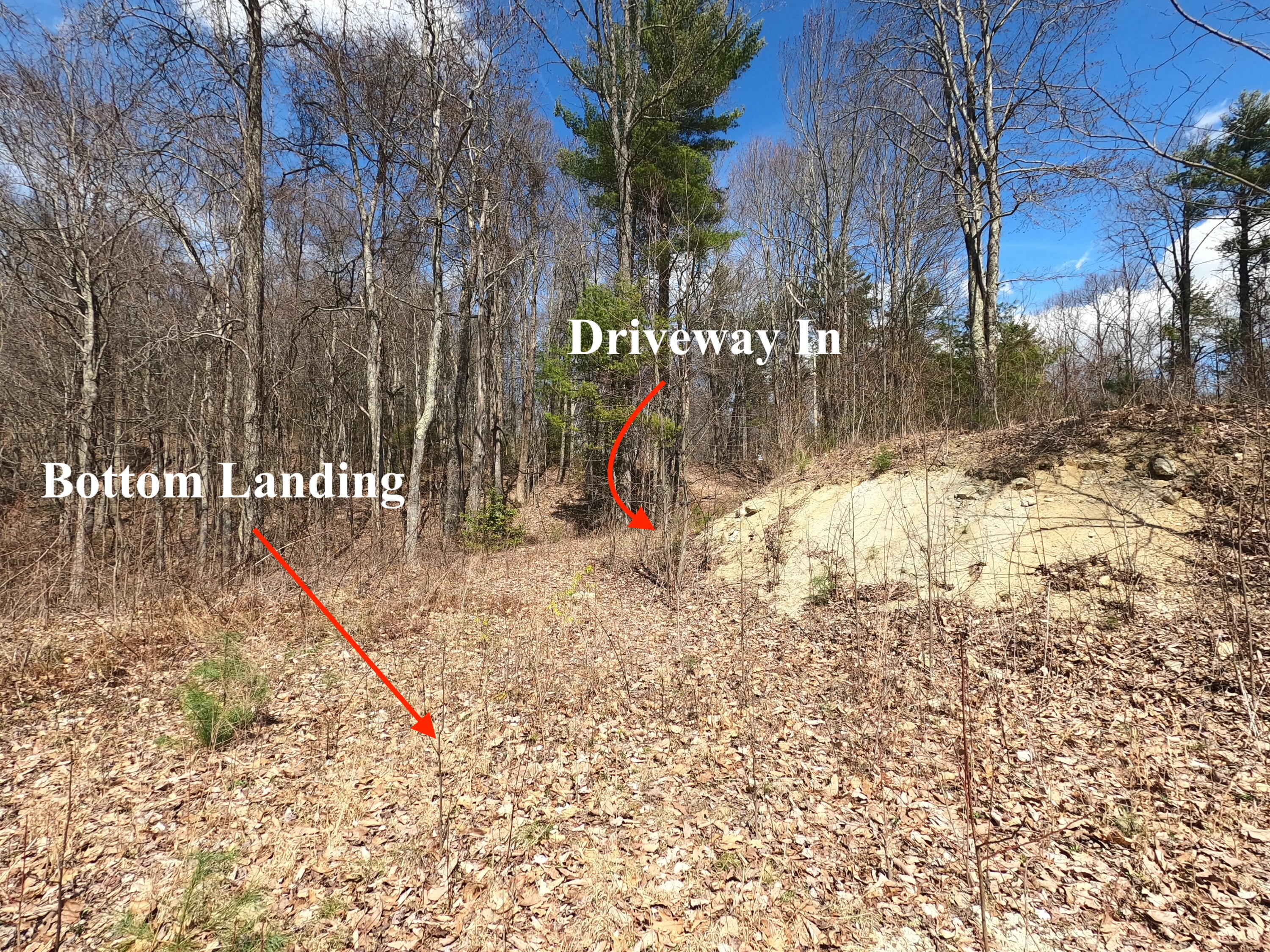 Tbd Heaton Branch Road, Unit 11A Butler, TN 37640 - Photo 12 of 28 GO Landing Drive