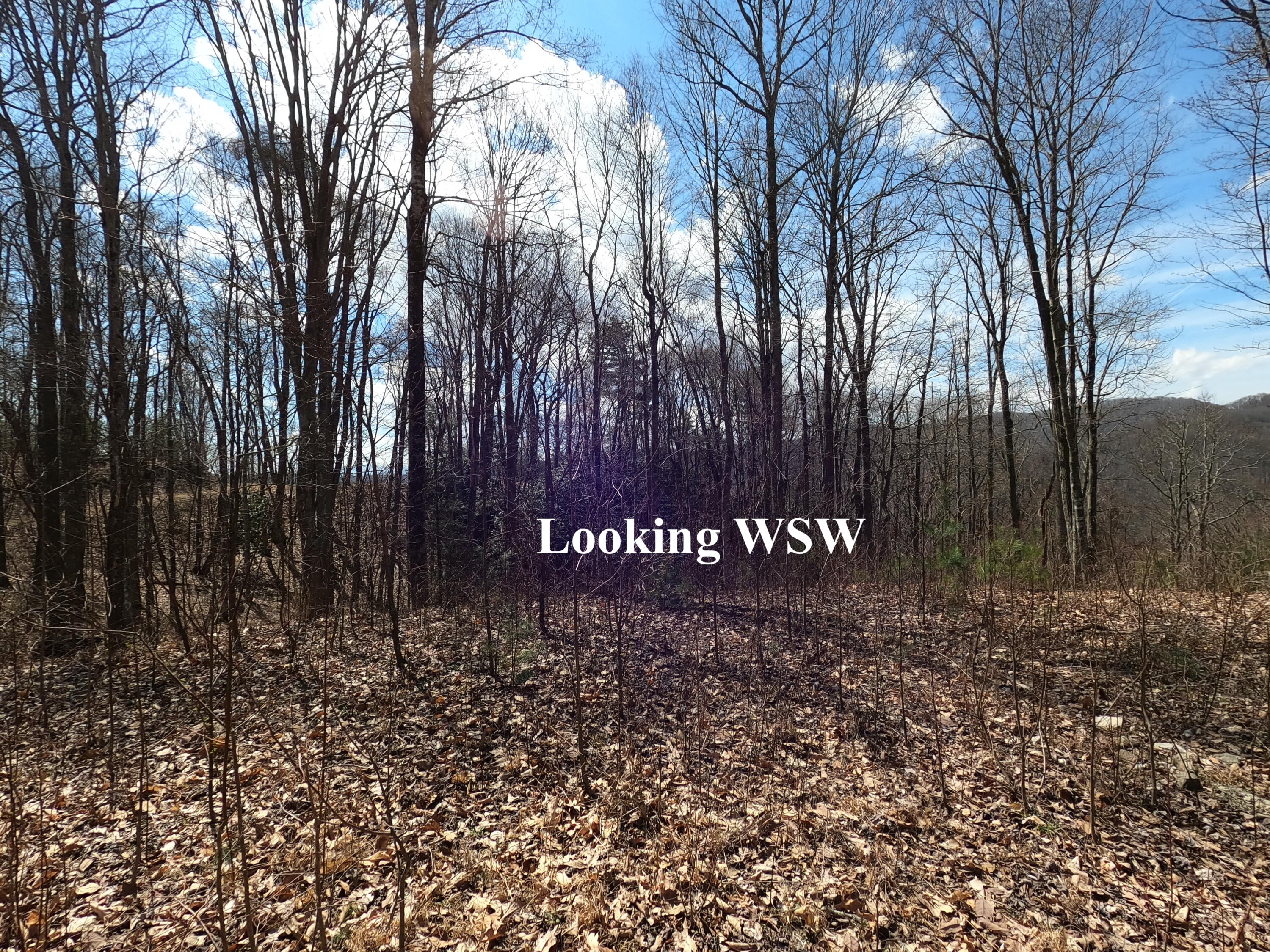 Tbd Heaton Branch Road, Unit 11A Butler, TN 37640 - Photo 13 of 28 GO Look WSW