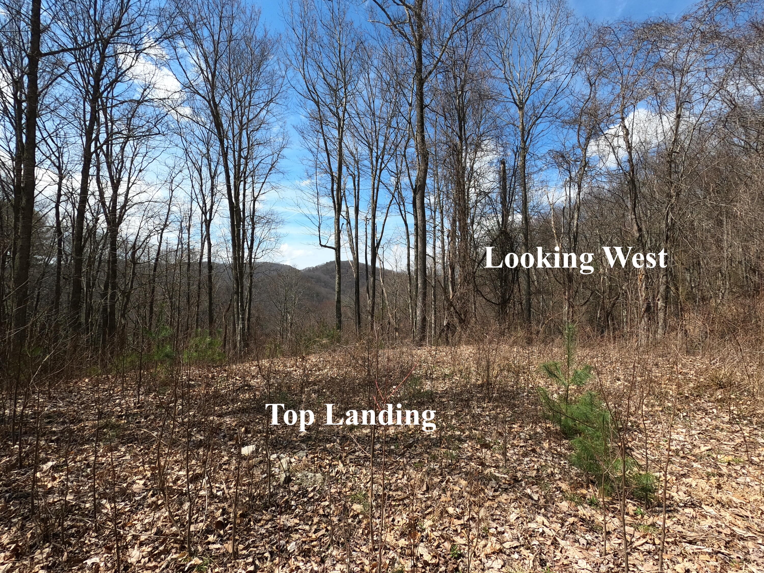 Tbd Heaton Branch Road, Unit 11A Butler, TN 37640 - Photo 18 of 28 GO Top Landing