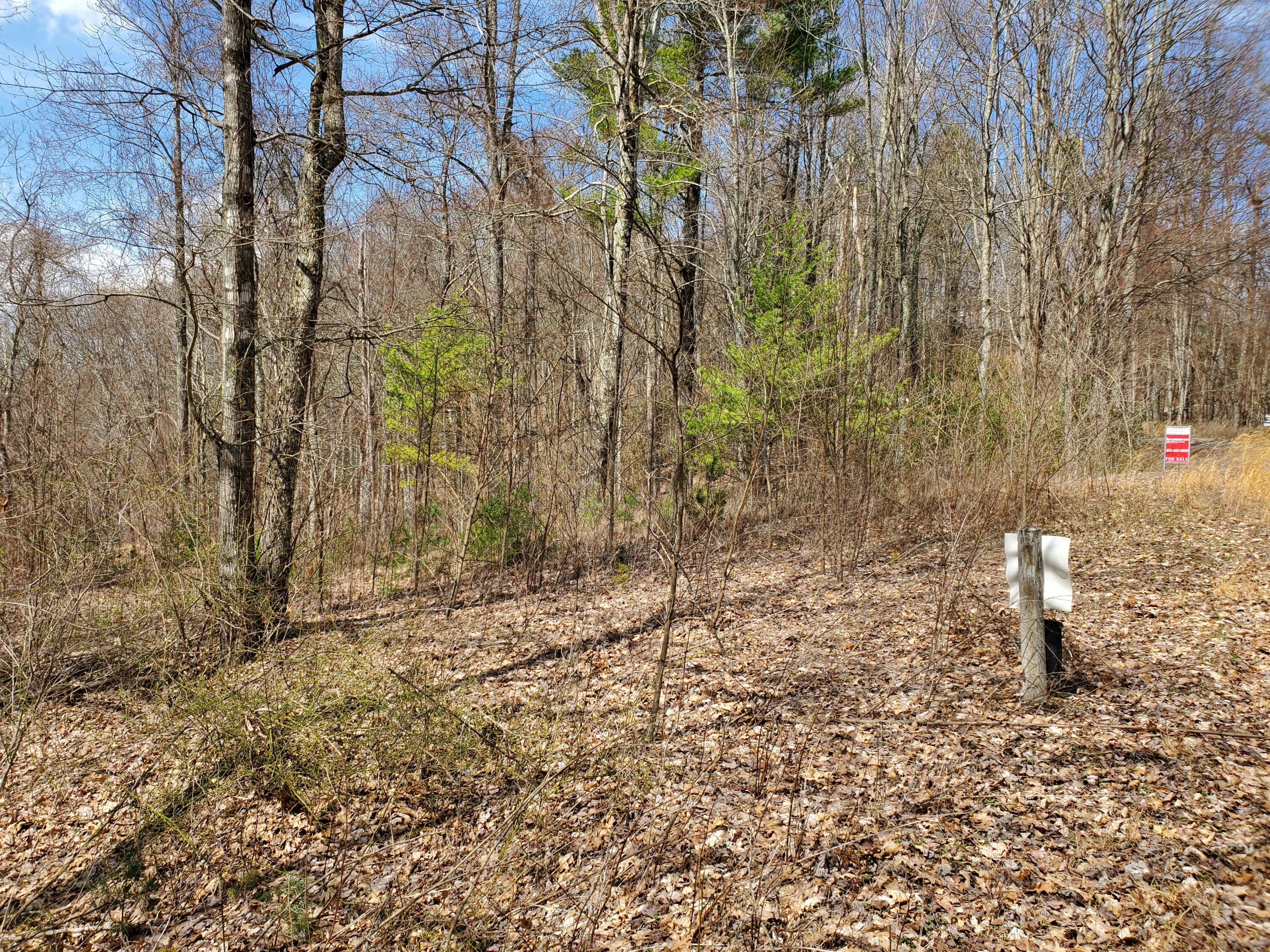 Tbd Heaton Branch Road, Unit 11A Butler, TN 37640 - Photo 3 of 28 Looking at Top Landing