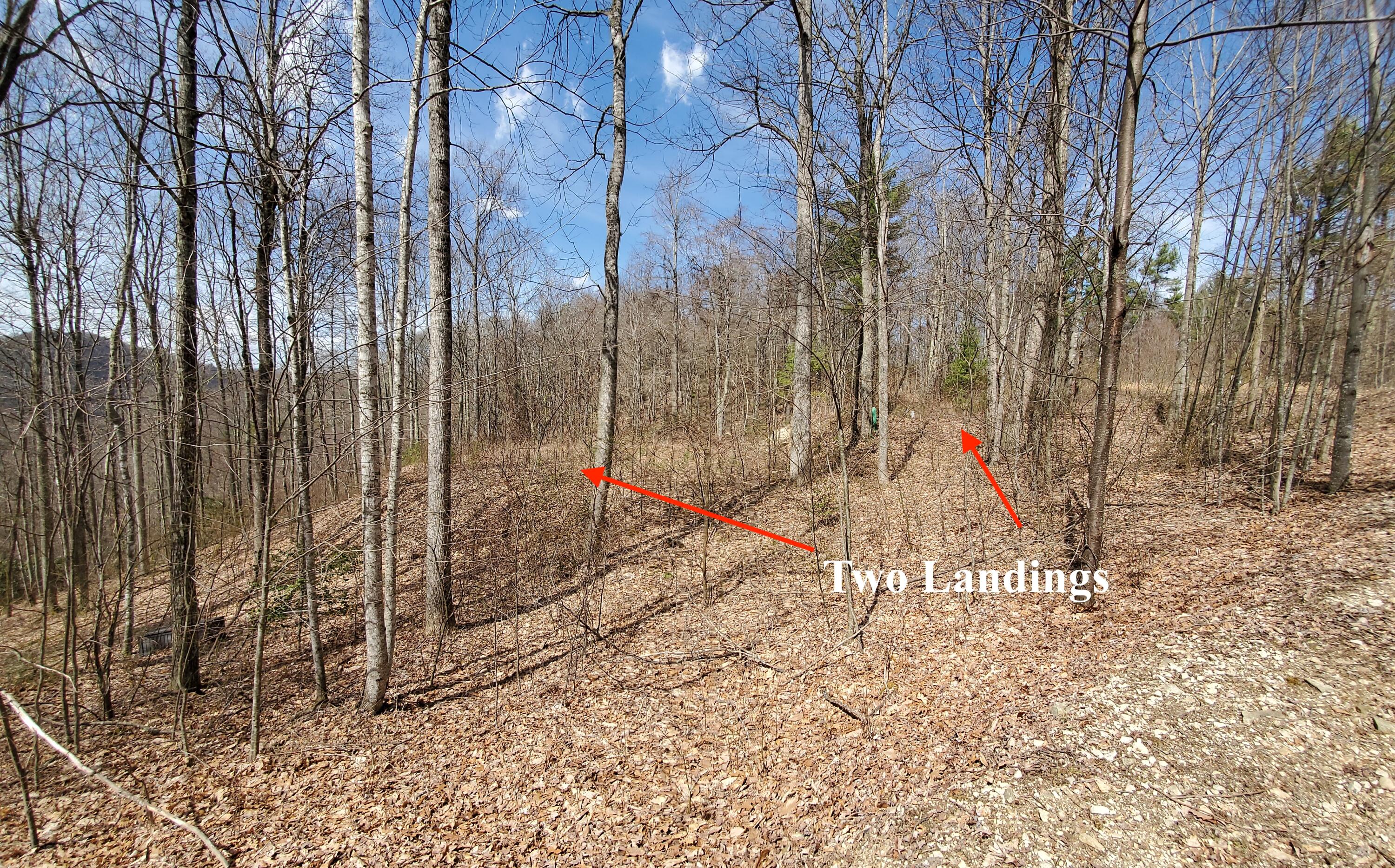 Tbd Heaton Branch Road, Unit 11A Butler, TN 37640 - Photo 4 of 28 Two House Seats