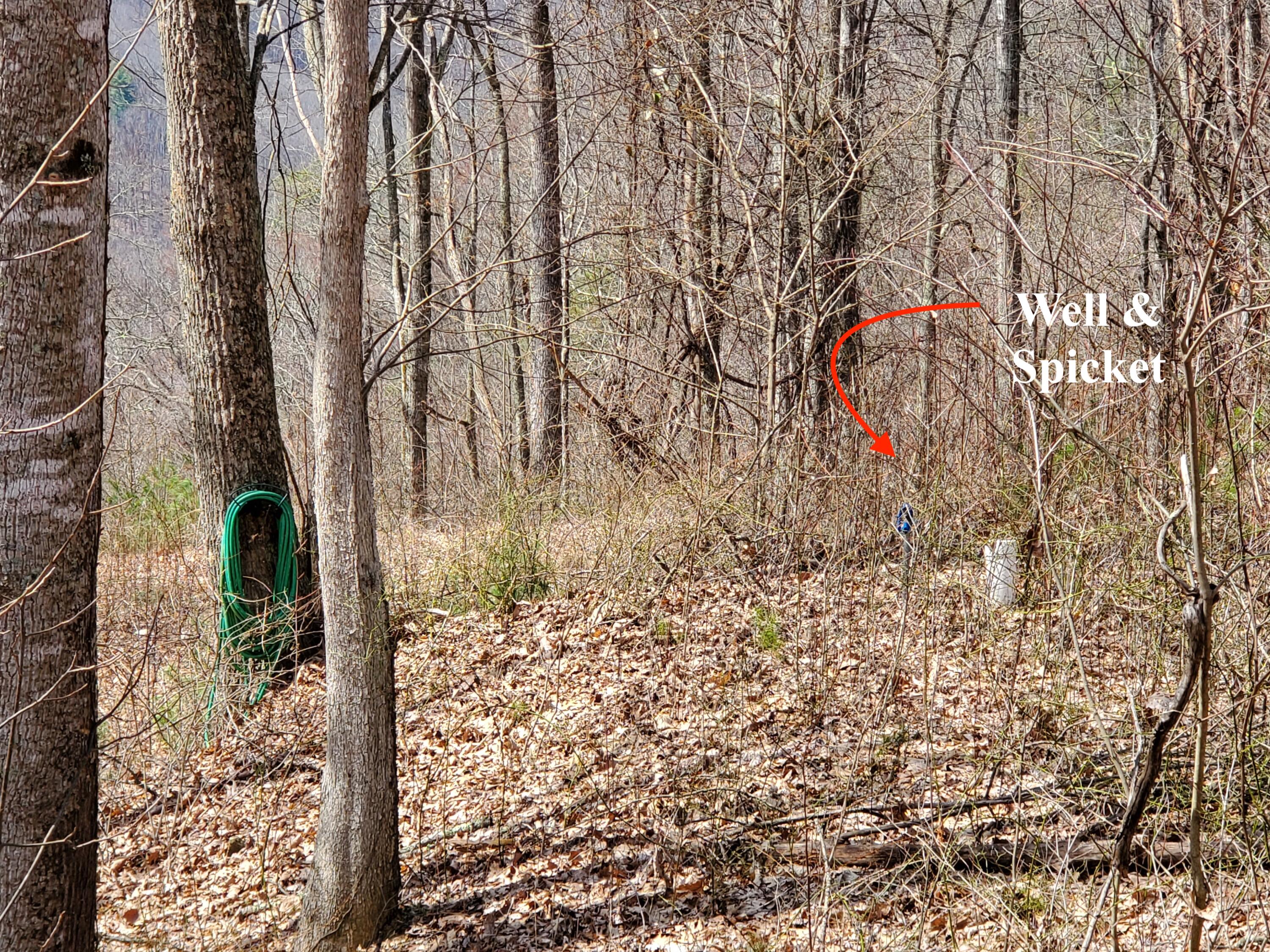 Tbd Heaton Branch Road, Unit 11A Butler, TN 37640 - Photo 5 of 28 Well and Spicket