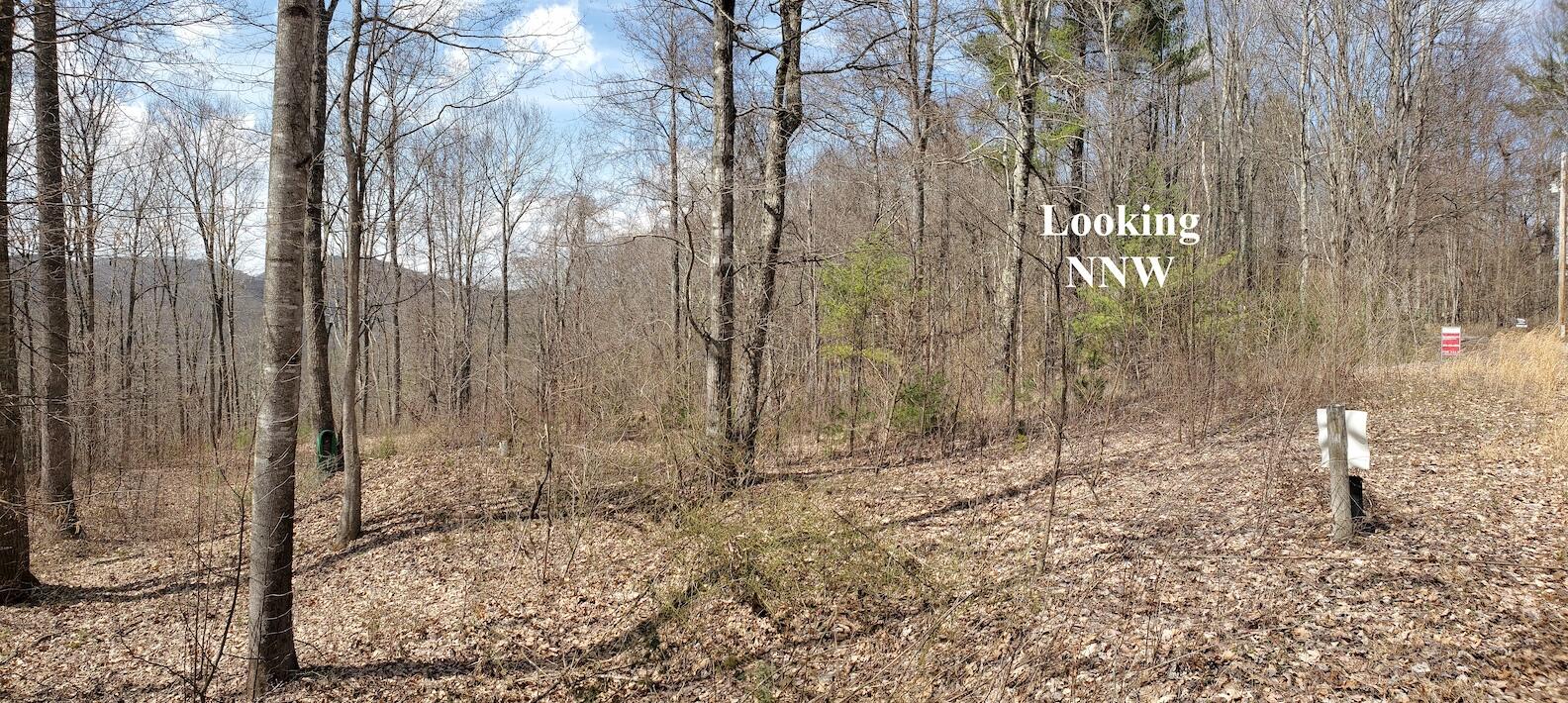 Tbd Heaton Branch Road, Unit 11A Butler, TN 37640 - Photo 6 of 28 Looking NNW
