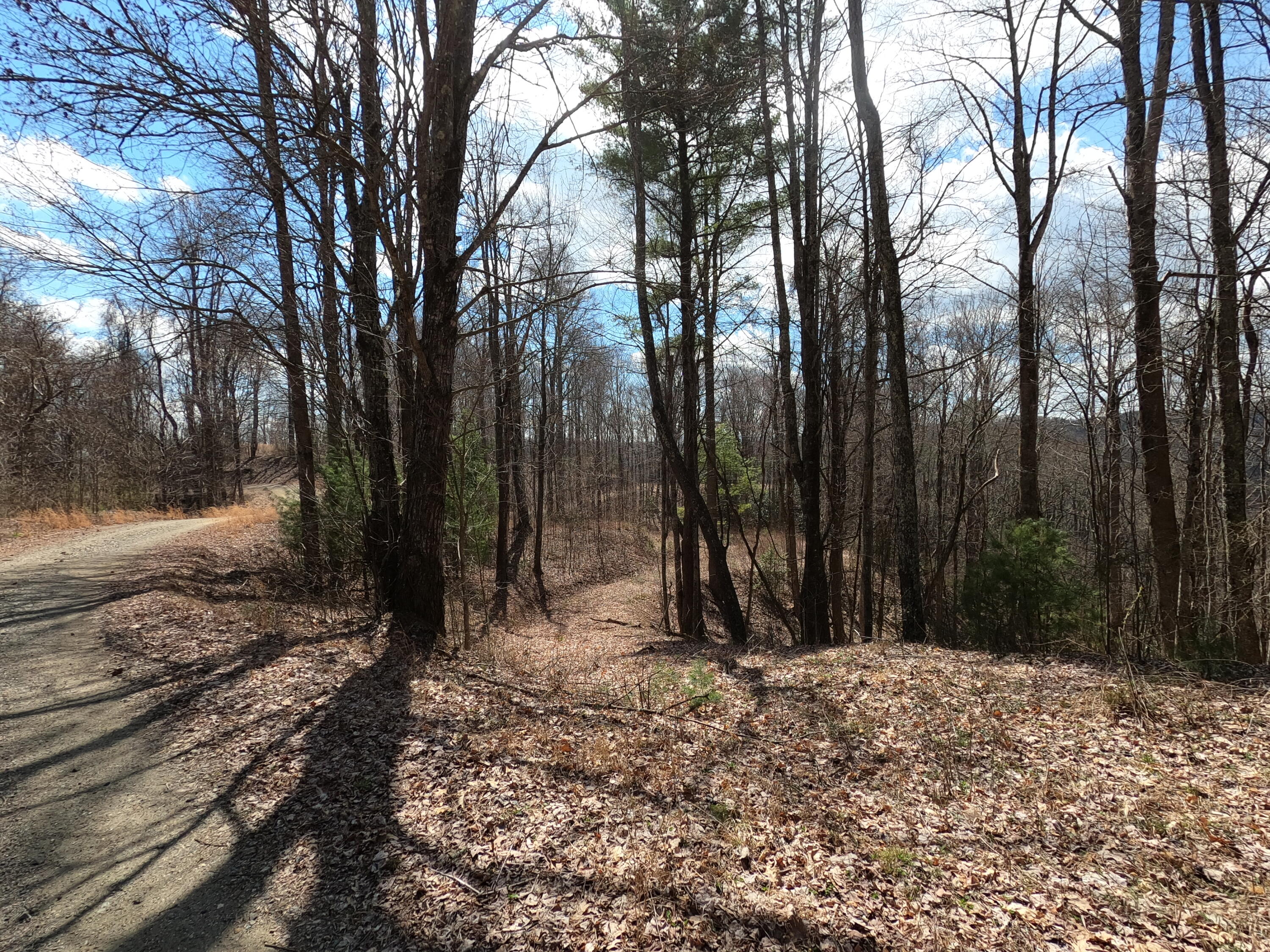 Tbd Heaton Branch Road, Unit 11A Butler, TN 37640 - Photo 8 of 28 GO Driveway