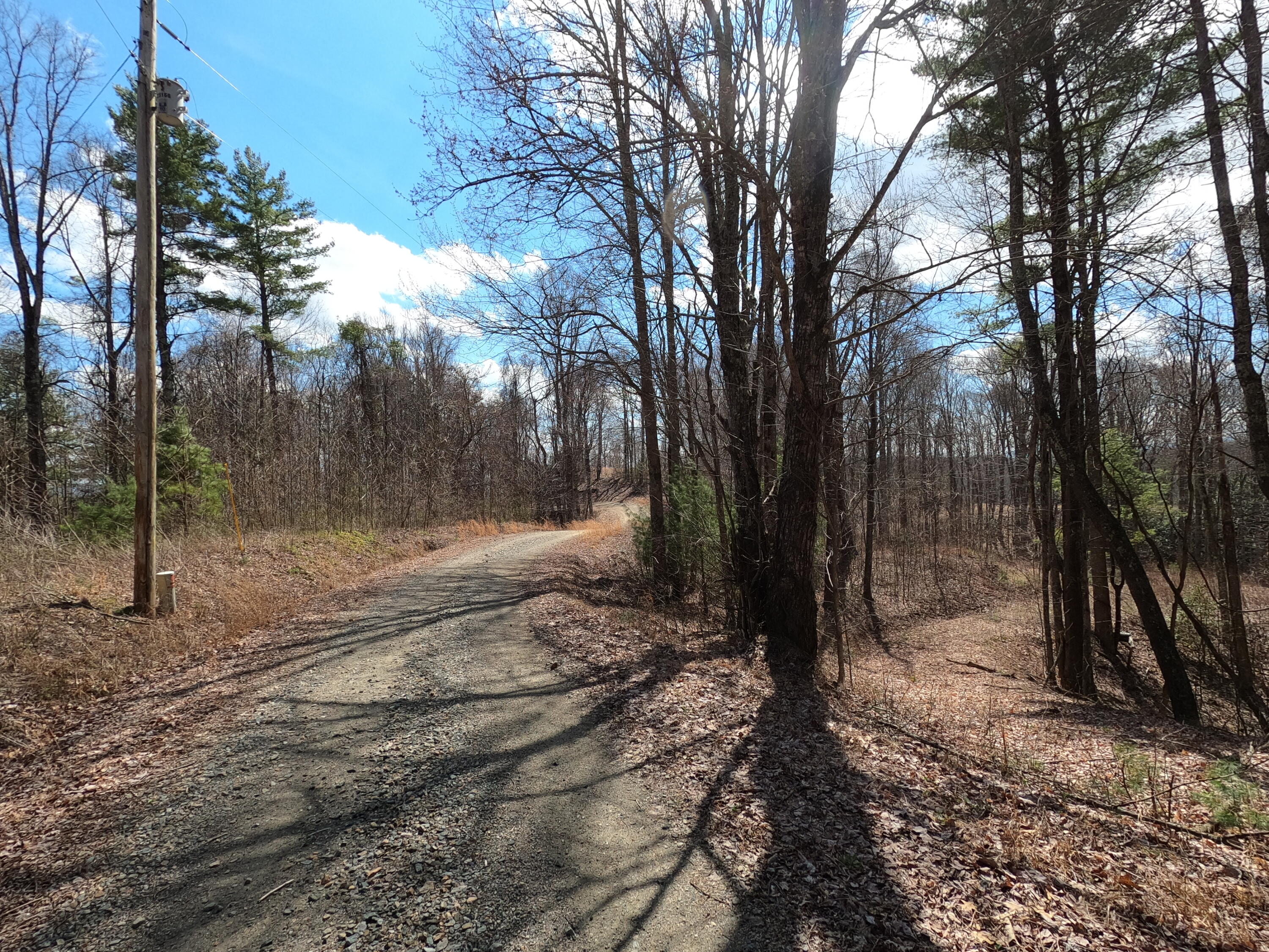 Tbd Heaton Branch Road, Unit 11A Butler, TN 37640 - Photo 9 of 28 GO Driveway b