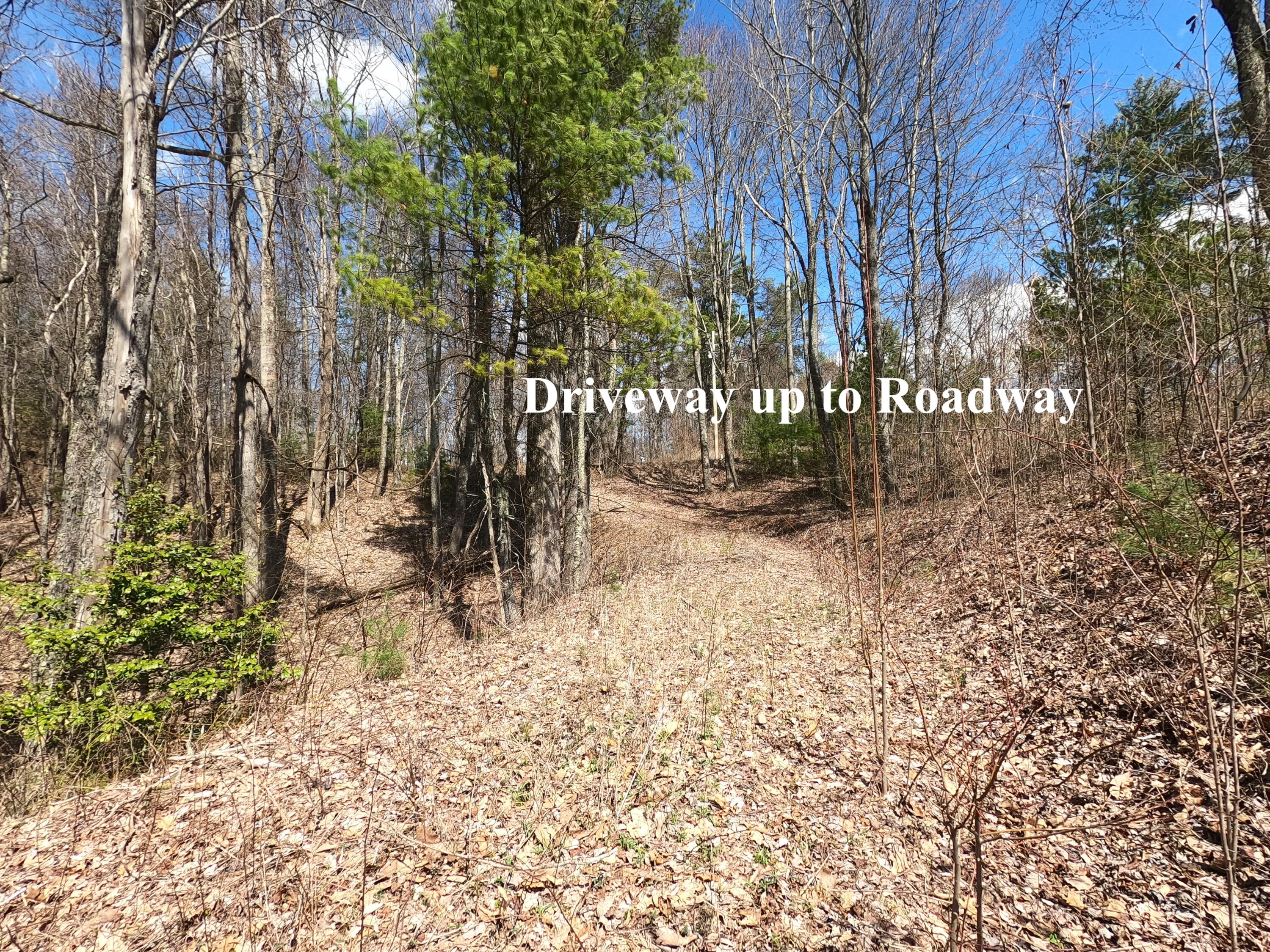 Tbd Heaton Branch Road, Unit 11A Butler, TN 37640 - Photo 10 of 28 GO Driveway Up