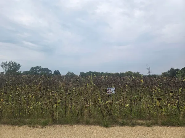 $79,000 | Lot 12 Ridge Point Estates, Mineral Point, WI 53565
