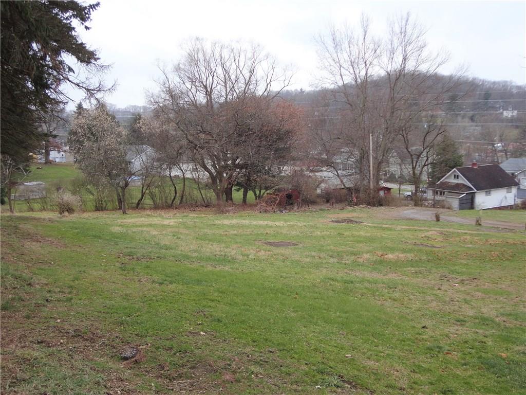 625 Spring Street Mars, PA 16046 - Photo 5 of 21 Back/Side Yard.