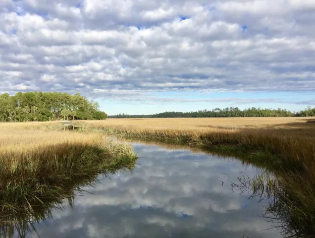 $1,697,500 | 738 Hibben's Grant Boulevard, Mount Pleasant, SC 29464