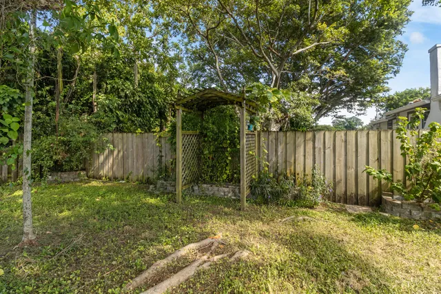 a garden view with tall trees