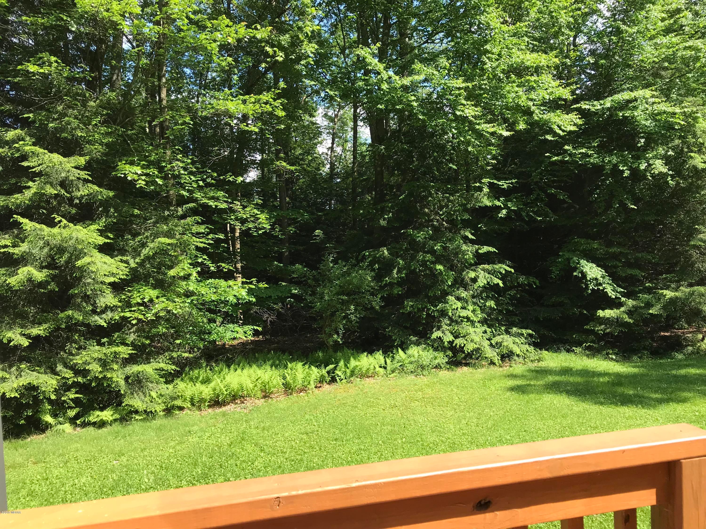 5614 Rose Valley Road Trout Run, PA 17771 - Photo 3 of 21 woodland view