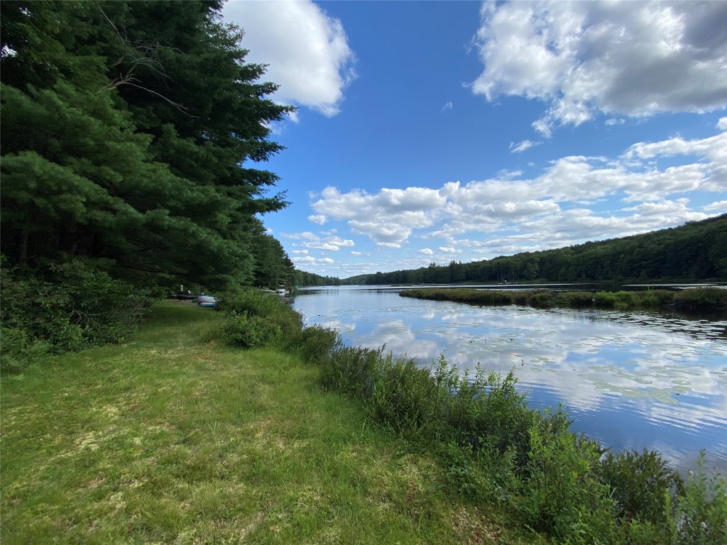 161 Blueberry Drive Deposit, NY 13754 - Photo 11 of 35 Gallery Image 11