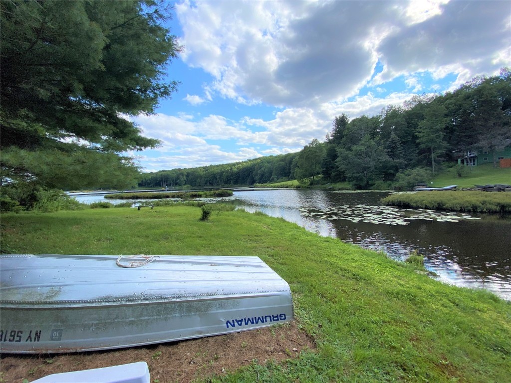 161 Blueberry Drive Deposit, NY 13754 - Photo 30 of 35 Gallery Image 30