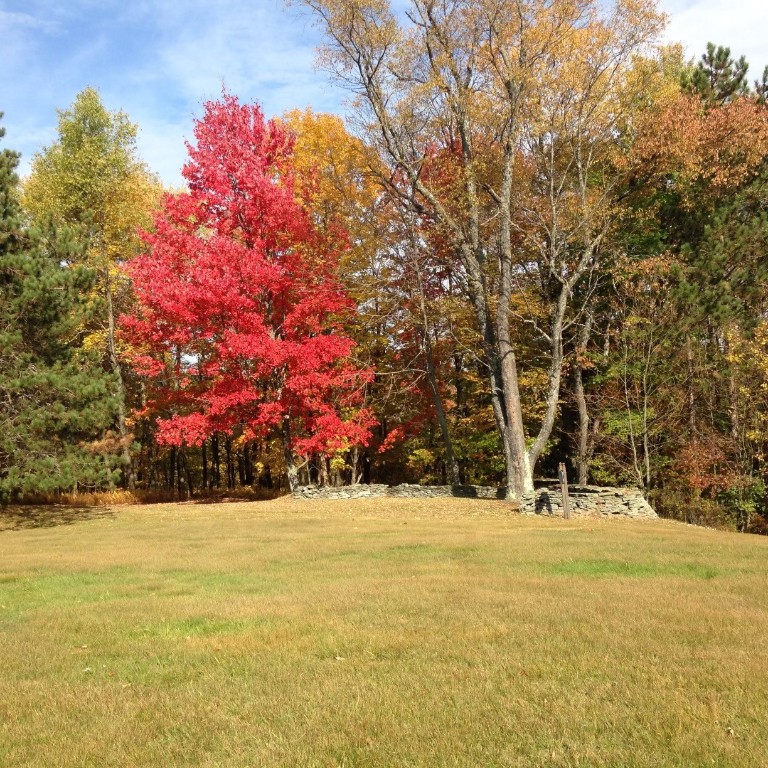161 Blueberry Drive Deposit, NY 13754 - Photo 33 of 35 Gallery Image 33