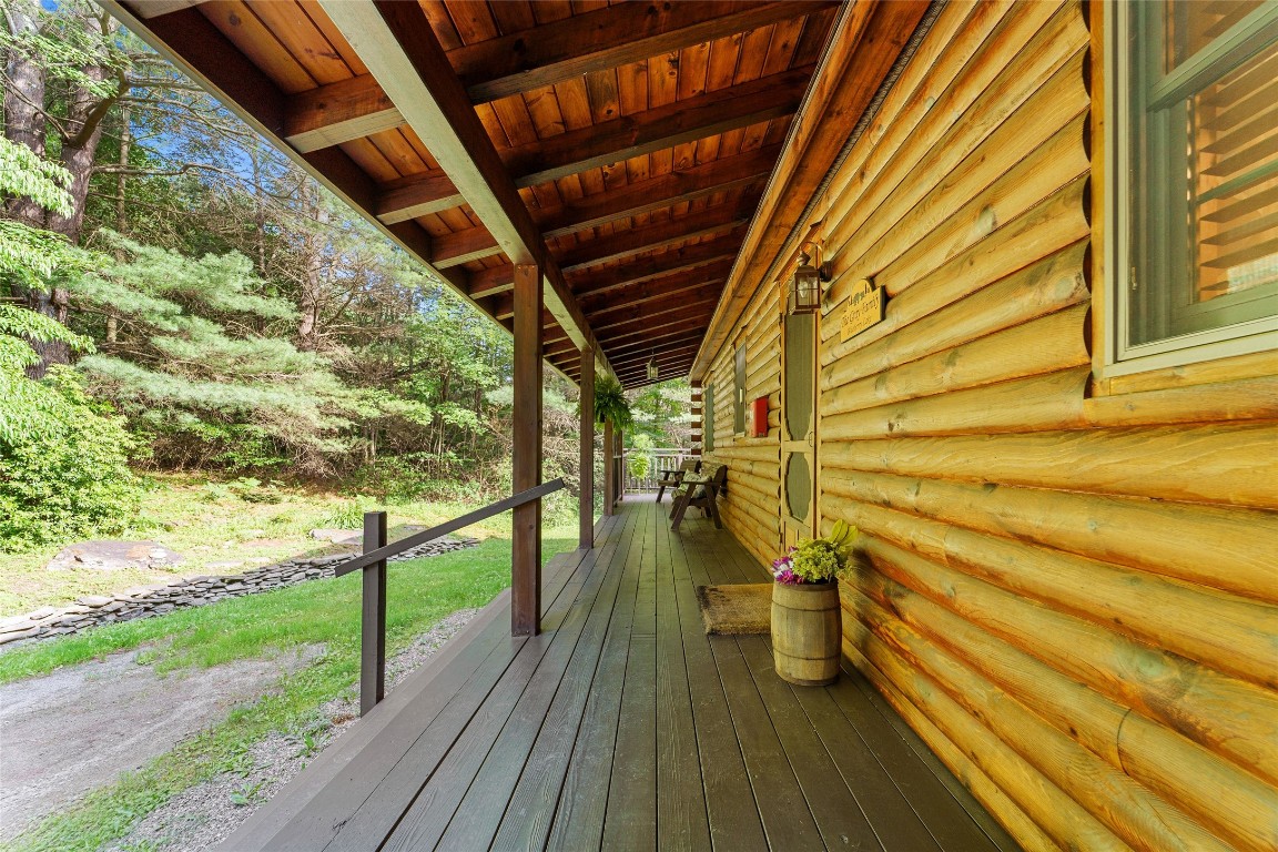161 Blueberry Drive Deposit, NY 13754 - Photo 4 of 35 Gallery Image 4