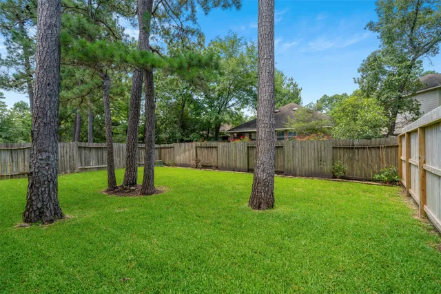 a view of a backyard with a slide