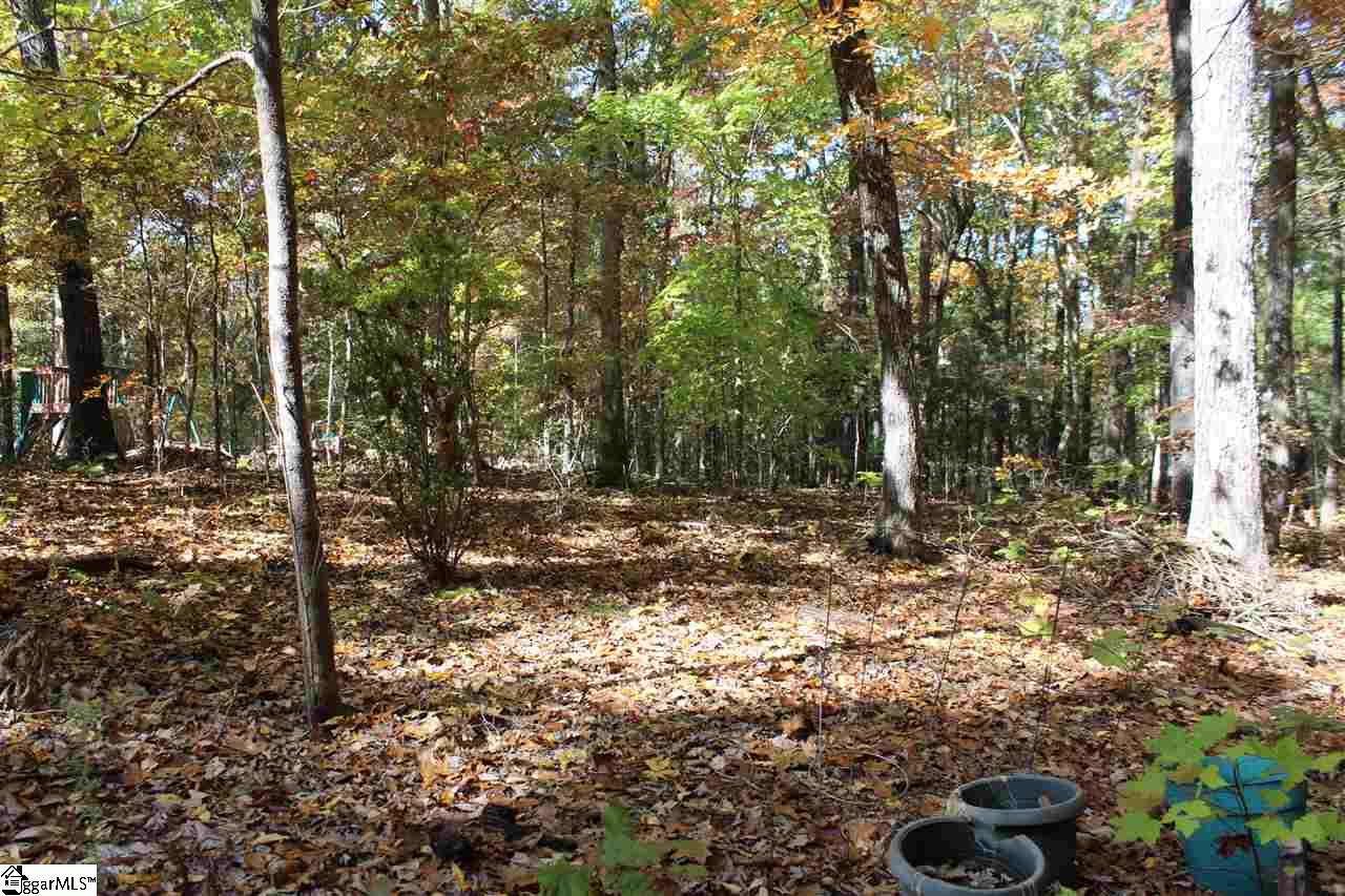 46 Glen Springs Road Travelers Rest, SC 29690 - Photo 23 of 28 Gallery Image 23