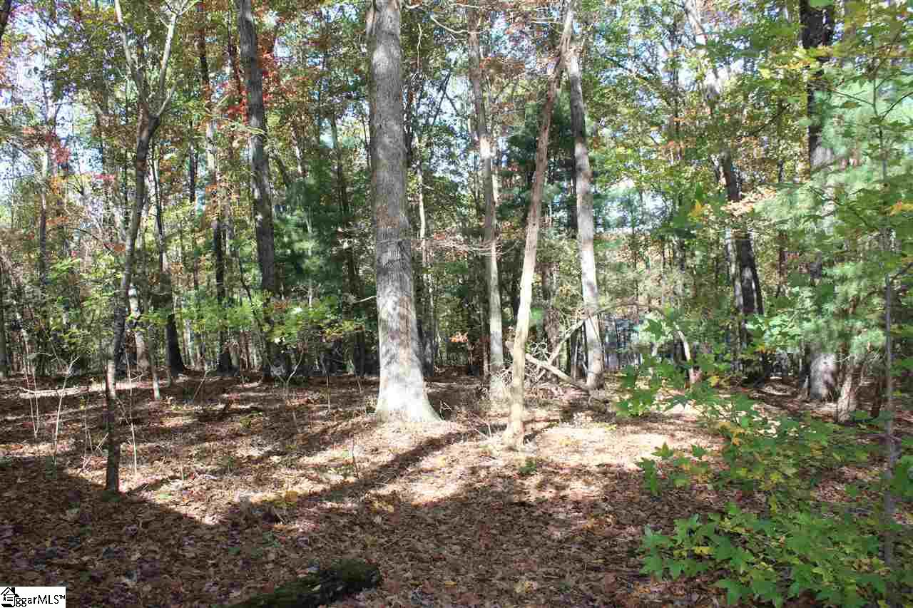 46 Glen Springs Road Travelers Rest, SC 29690 - Photo 25 of 28 Gallery Image 25