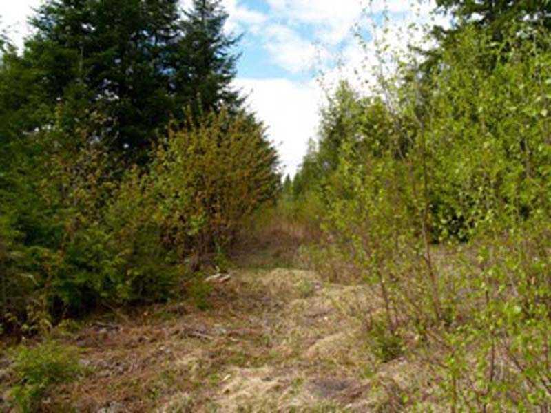 Off Hale Farm Road Lee, ME 04455 - Photo 3 of 13 Land.