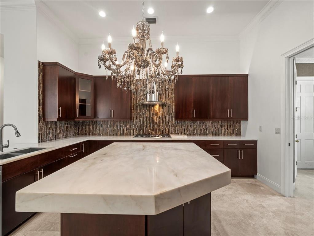 4529 Cheval Boulevard Lutz, FL 33558 - Photo 23 of 83