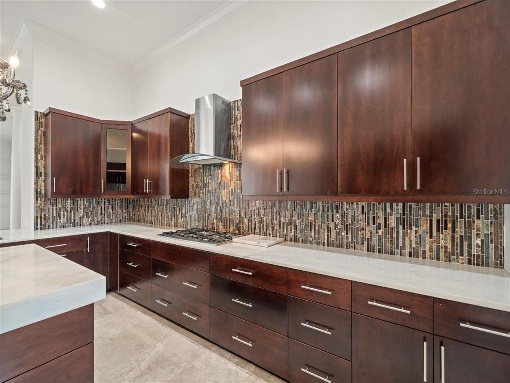 4529 Cheval Boulevard Lutz, FL 33558 - Photo 24 of 83