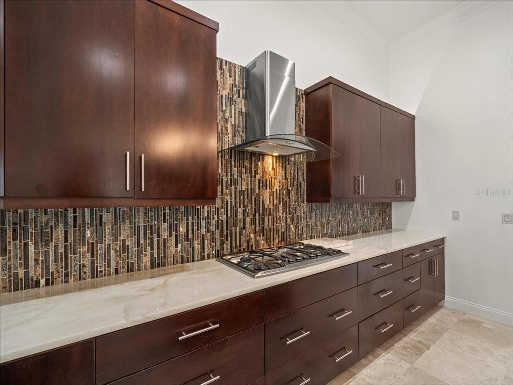 4529 Cheval Boulevard Lutz, FL 33558 - Photo 26 of 83