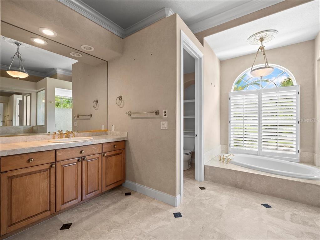4529 Cheval Boulevard Lutz, FL 33558 - Photo 42 of 83 a spacious bathroom with a sink a mirror and a shower