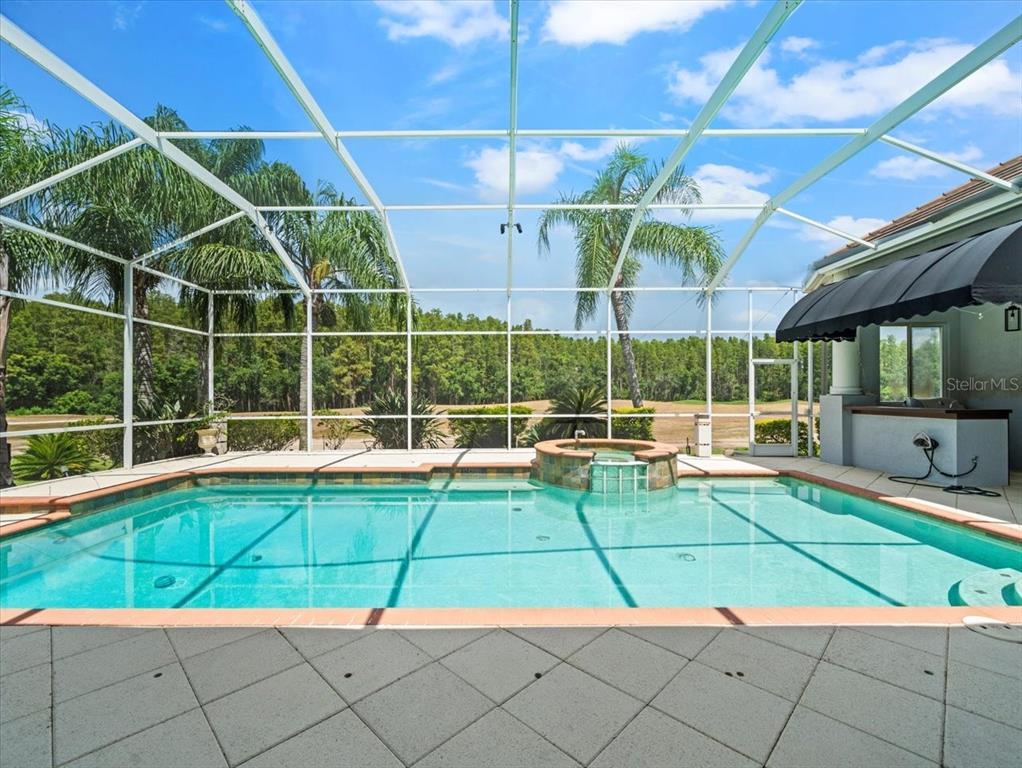 4529 Cheval Boulevard Lutz, FL 33558 - Photo 64 of 83