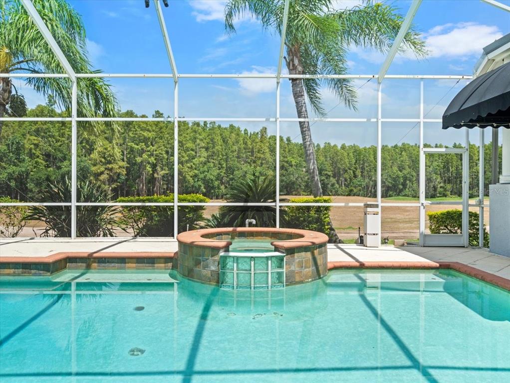 4529 Cheval Boulevard Lutz, FL 33558 - Photo 65 of 83