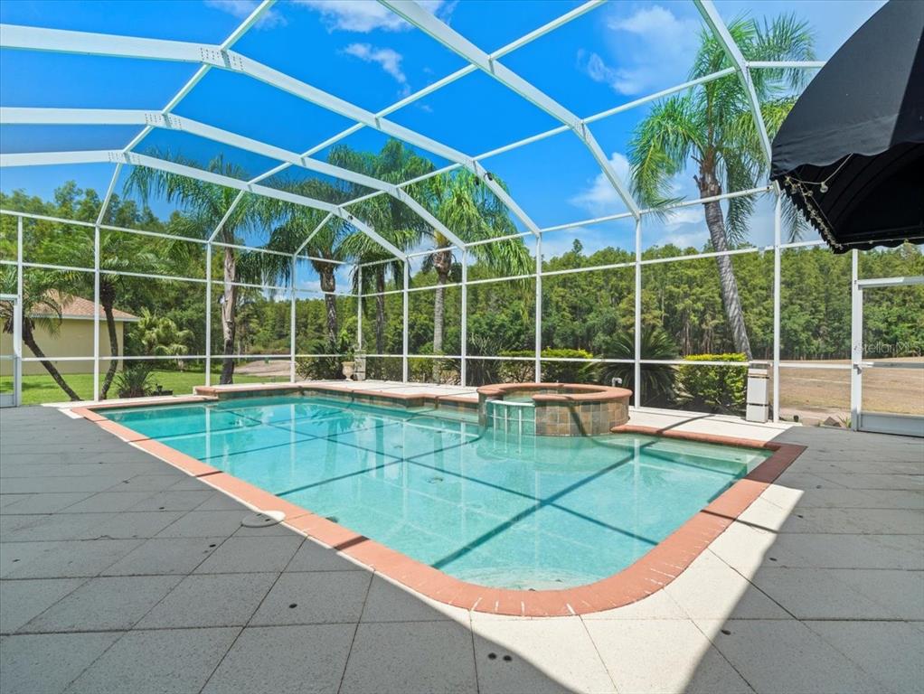 4529 Cheval Boulevard Lutz, FL 33558 - Photo 66 of 83 a view of a backyard with a swimming pool