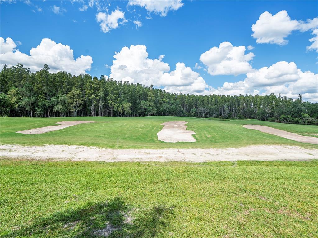 4529 Cheval Boulevard Lutz, FL 33558 - Photo 73 of 83 a view of a golf course with a lake