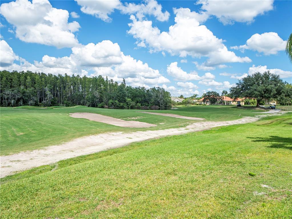 4529 Cheval Boulevard Lutz, FL 33558 - Photo 74 of 83 a view of a golf course with a big yard